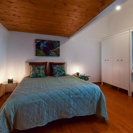 Duca House Villa *